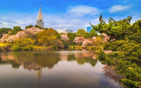 Shinjuku Gyoen